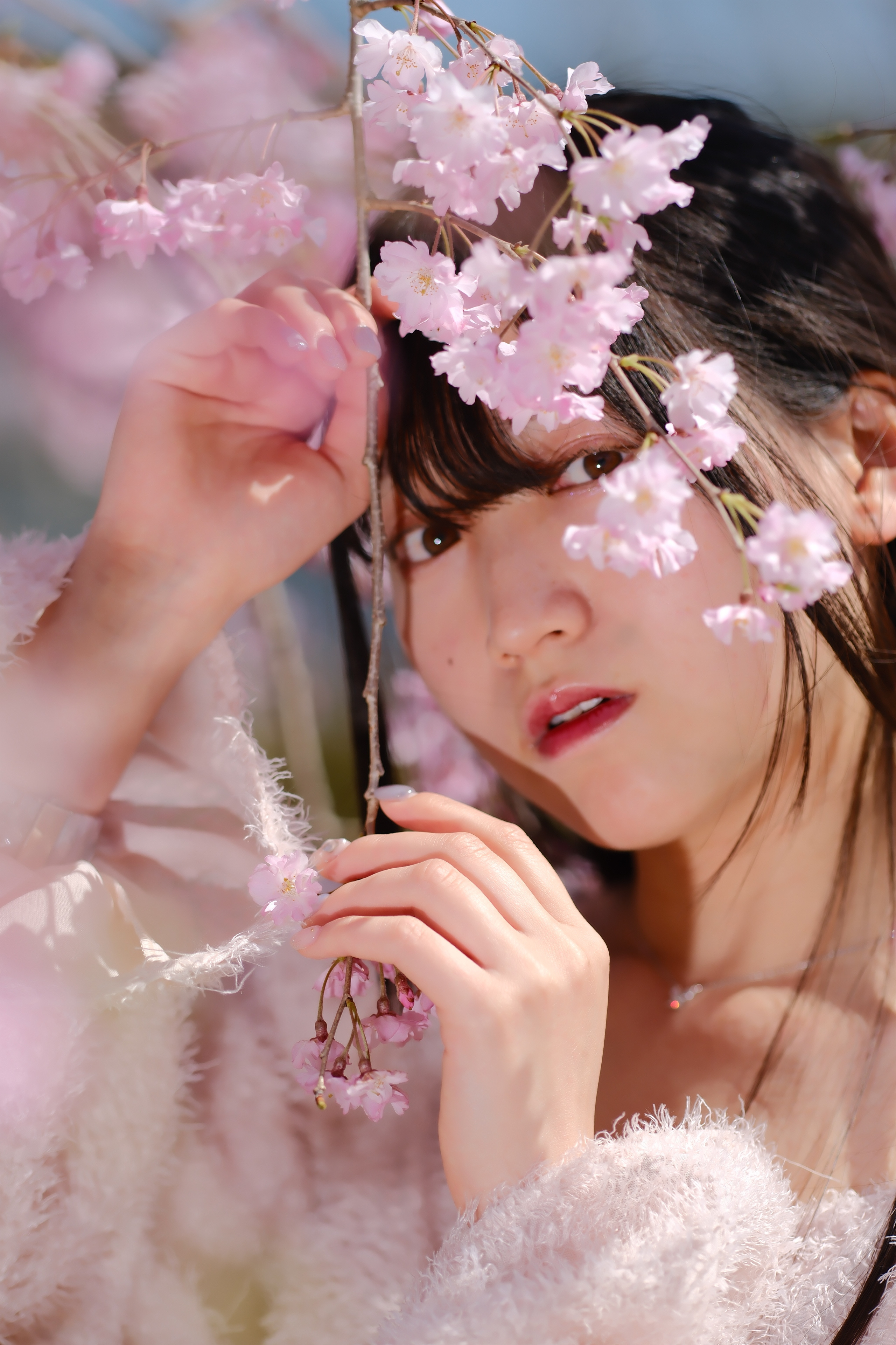 dscf9265.jpg